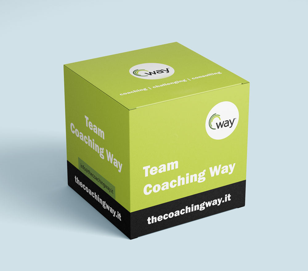 Team Coaching Way